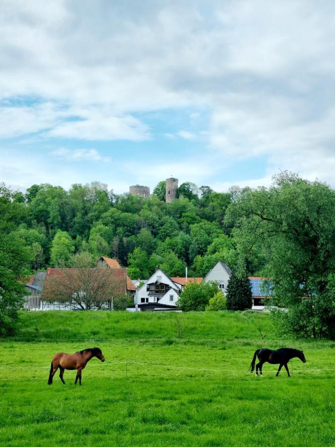 Ferienhaus Diemelaue Mit Klimaanlage Bad Karlshafen Esterno foto